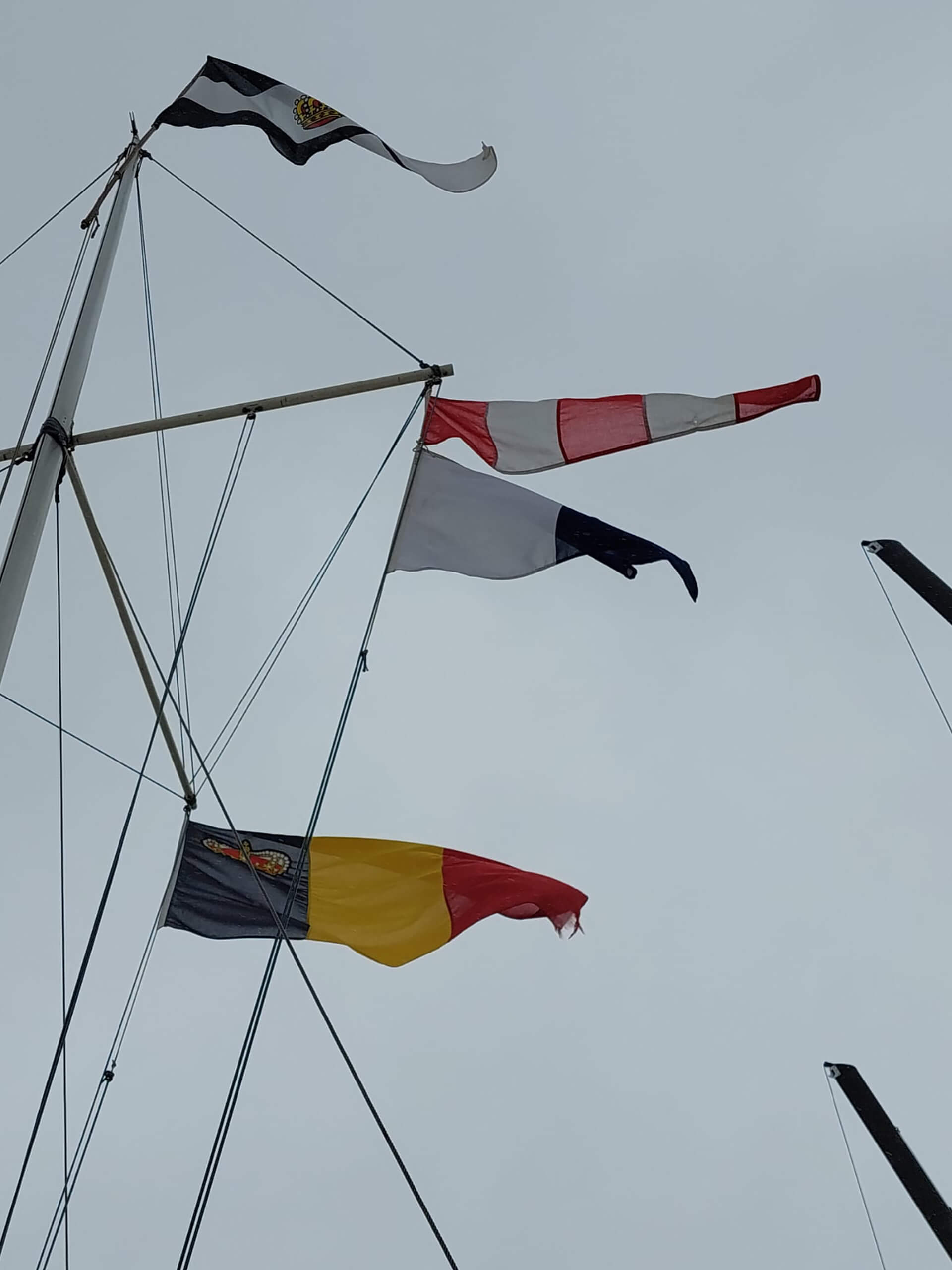 N15 terre