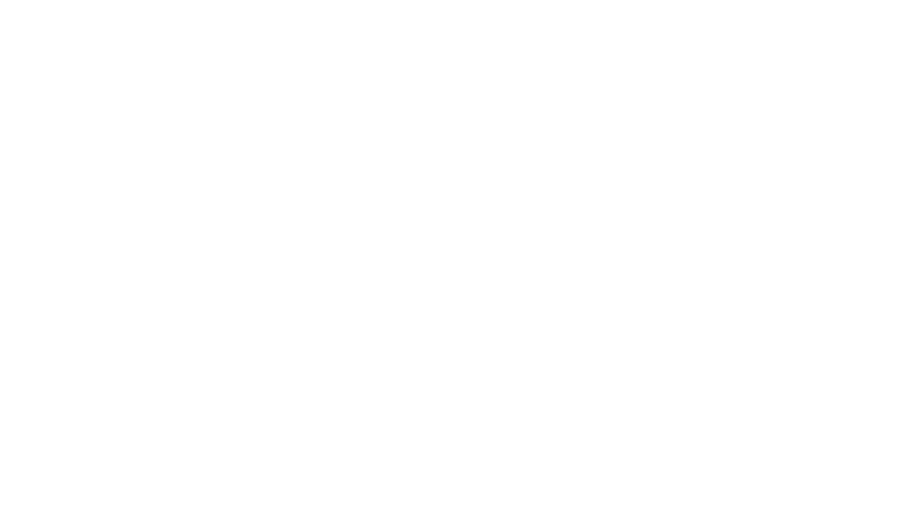 Logo ffsv.ch