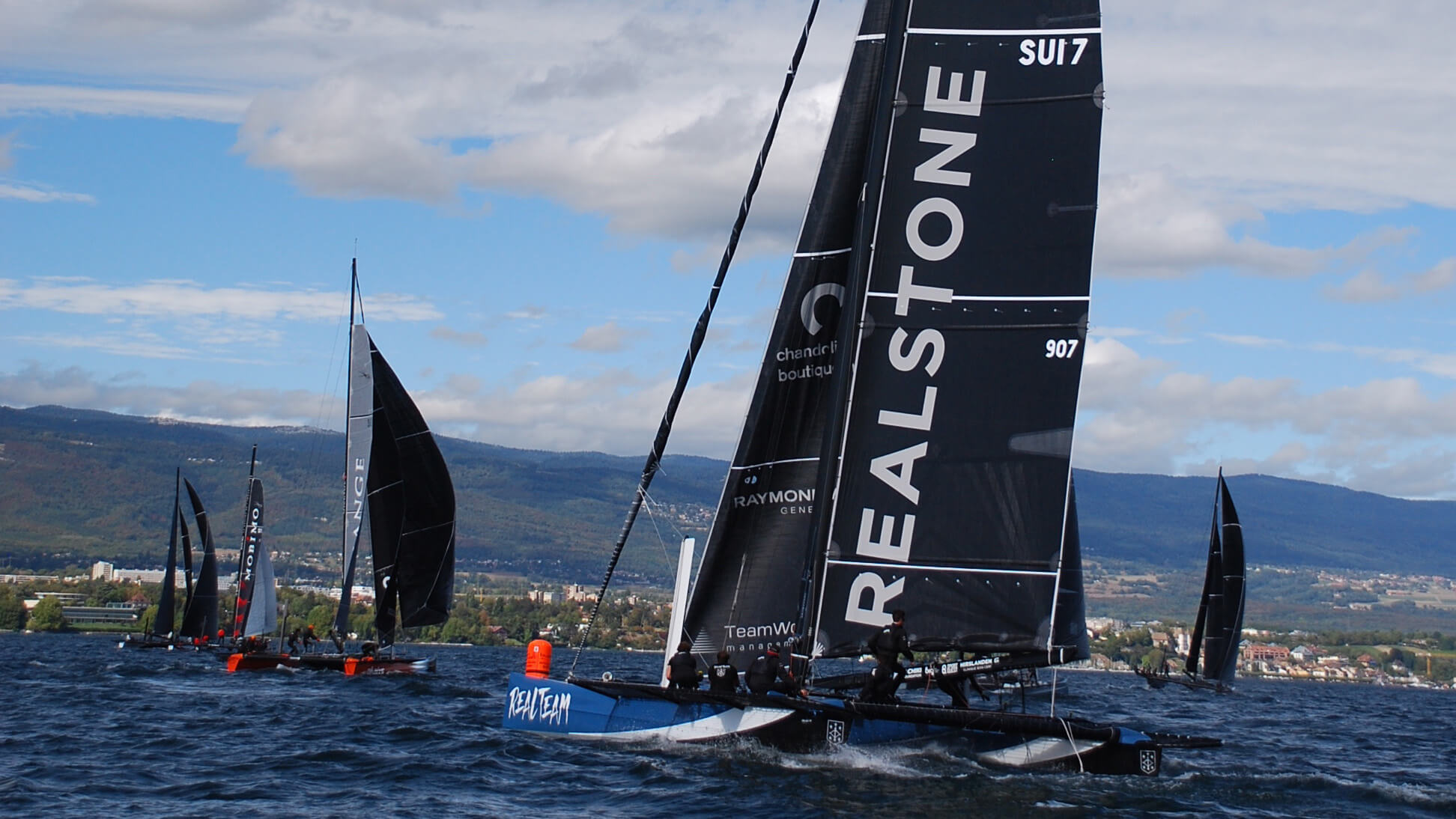 Voile D35 1